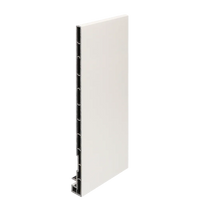 Keralit dakrandpaneel 250 mm (2825) (6000 mm)